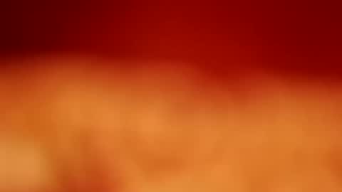 germanandy71 online show from January 17, 2:09 pm