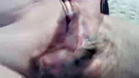 ghost1805 online show from September 15, 9:05 pm