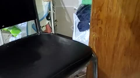 guillermo723 online show from April 9, 2:31 am