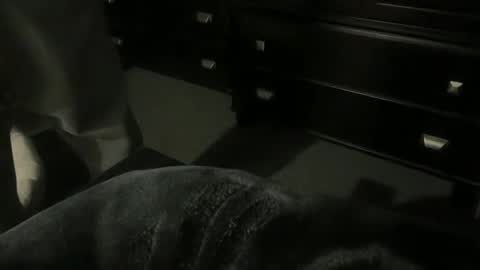 gumbywanna online show from January 16, 6:38 am