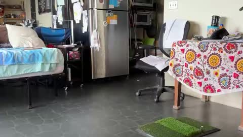 gwmlkg online show from February 11, 1:52 am