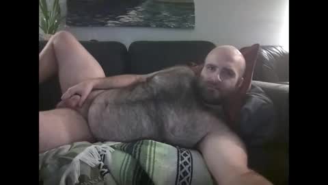 Hairiest Bear online show from November 30, 9:55 am