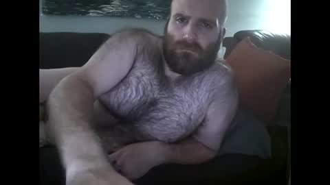 Hairiest Bear online show from May 16, 10:36 am