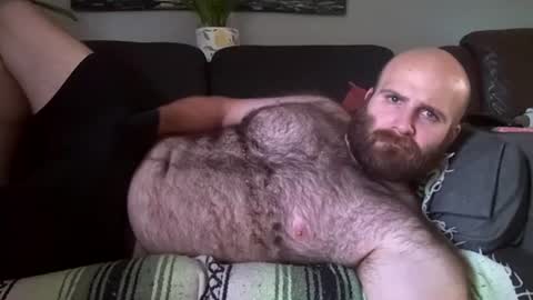 Hairiest Bear online show from July 31, 8:29 pm
