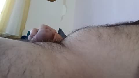 hairyguys73 online show from June 29, 6:52 am