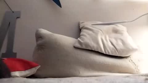 Marty online show from November 4, 12:33 am