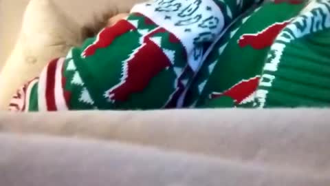 Marty online show from October 23, 11:46 am