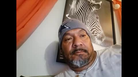 Hammy online show from November 12, 11:27 am