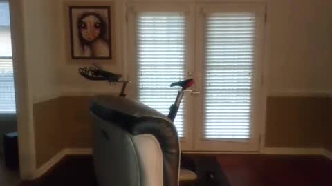 Han online show from December 19, 12:56 pm