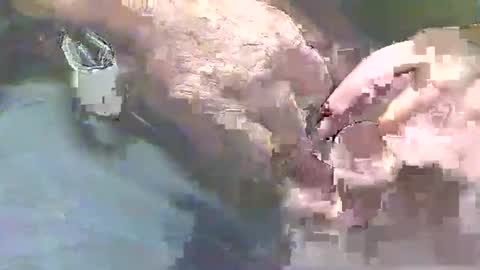 handycolt online show from May 31, 9:27 pm
