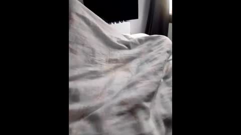 Snapshot of hank0009 chatting on October 26, 3:03 pm hank0009 online show from October 26, 3:03 pm
