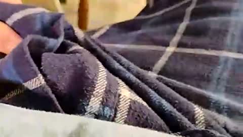 hardandhorny422 online show from November 30, 4:53 pm