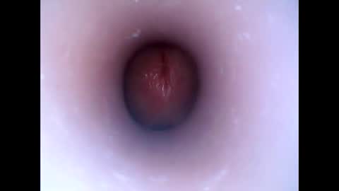 hardhammerboy online show from January 6, 6:31 pm