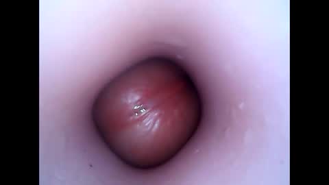 hardhammerboy online show from December 26, 7:49 pm