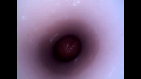 hardhammerboy online show from December 29, 8:26 pm