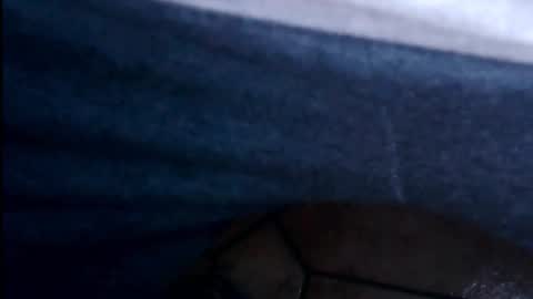 hofnung online show from February 4, 12:44 pm