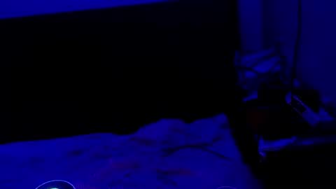 hoodrobbin447 online show from April 1, 5:20 am