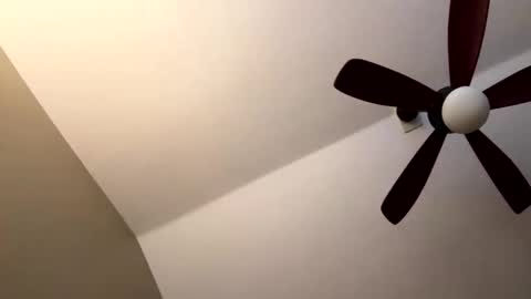 hornieecum online show from November 8, 12:41 pm