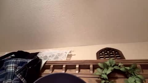 horny_fun2024 online show from March 14, 5:47 am