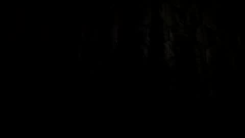 hornydude3435 online show from December 23, 5:05 am