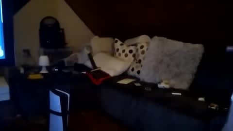 hornypaul84 online show from January 7, 1:21 am