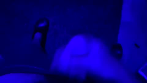 Snapshot of hornystroker21 chatting on October 19, 1:54 am hornystroker21 online show from October 19, 1:54 am