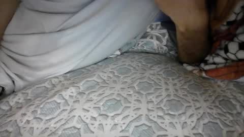 Steve... online show from February 24, 5:21 am