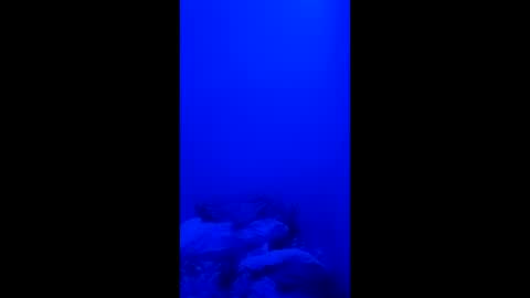 hotdadrod online show from April 14, 11:43 am