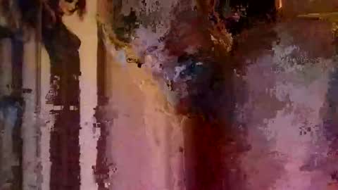 hoytme online show from October 26, 9:55 am