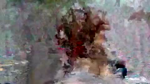 Huge dick online show from March 8, 5:28 pm