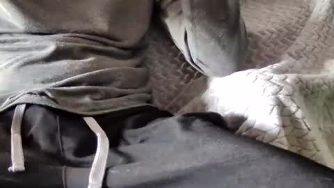 hugepecker131 online show from December 18, 1:07 pm