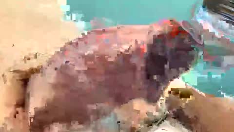 hughmann61 online show from April 14, 11:59 pm