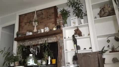 hungitalian40 online show from November 13, 10:20 am