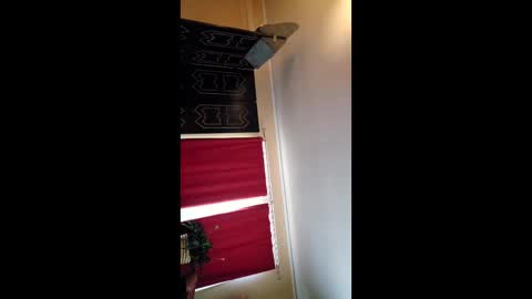 iamhereandnow online show from January 12, 3:38 pm