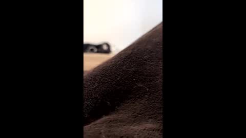 ichgraphisme online show from April 15, 3:45 pm