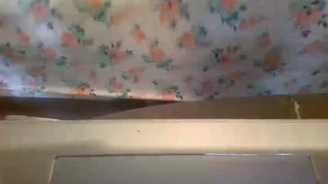 idontuse234 online show from April 25, 1:41 pm