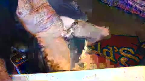 indiana50nhot online show from December 21, 9:45 pm