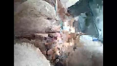 ineed2026please online show from December 13, 8:15 pm