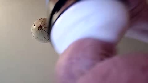 G. Teaser online show from December 23, 9:29 am