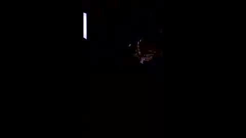 irishdna96 online show from March 23, 3:12 am