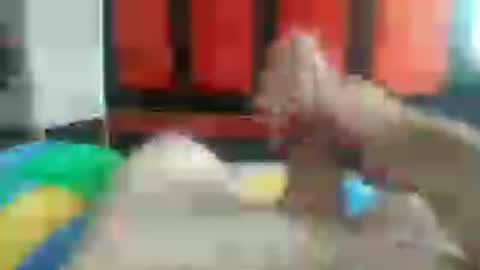 ivan online show from July 30, 9:19 am