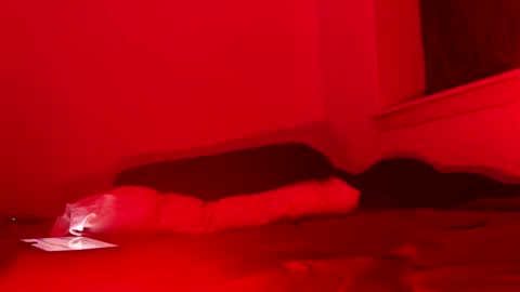 j4ckoff online show from November 22, 5:51 am