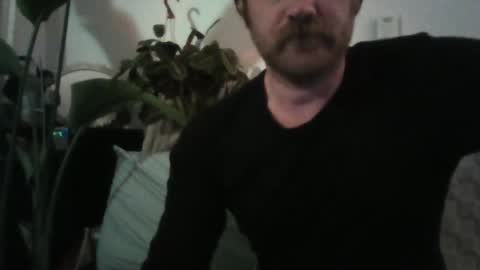 TR88 online show from January 27, 12:48 pm