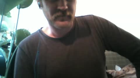 TR88 online show from February 15, 2:55 pm