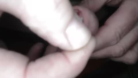 ja2923 online show from March 23, 8:15 pm