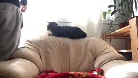 Jacob online show from February 14, 4:57 pm