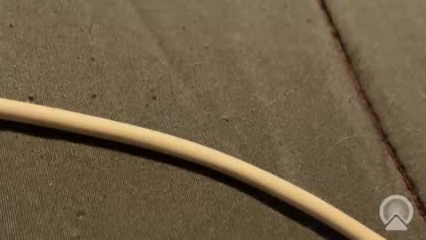 jacobnorris01 online show from December 17, 1:57 am