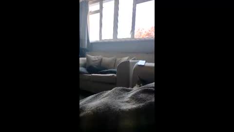 jagrahi1992 online show from April 22, 11:26 am