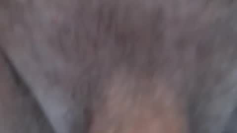 JAM online show from February 14, 3:22 am