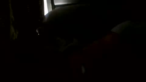 Jamacian online show from October 20, 5:06 pm